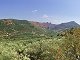 L1137: 506m2 olive grove within village limits, valley views