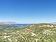 L1169: High 3,338m2 level olive grove outside village limits with sea & mountain views
