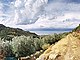 L1171: 1,915m2 terraced olive grove with sea & mountain views