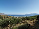 L1199: Large olive grove with panoramic sea & mountain views