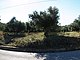 L1305: Olive grove with sea & rural views