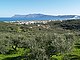 L1308: Terraced olive grove with fabulous sea & rural views