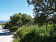 L1309: Gently sloping olive grove with beautiful sea & rural views