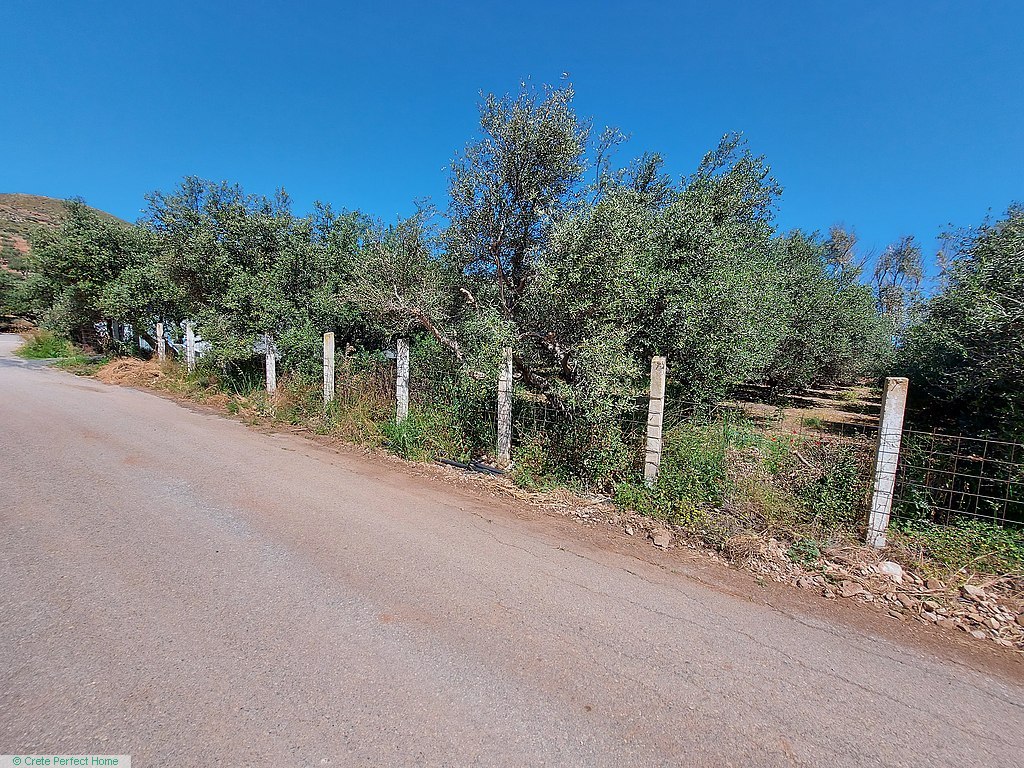 Level olive grove 400m from beaches, sea & rural views, permits