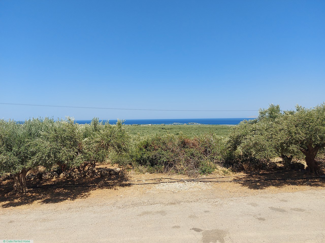 Olive grove plot overlooking Falasarna beach, beach 3km, large build allowance