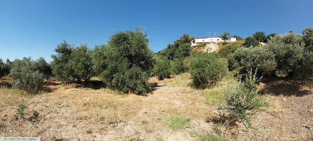 Large olive grove in quiet hamlet, huge build allowance