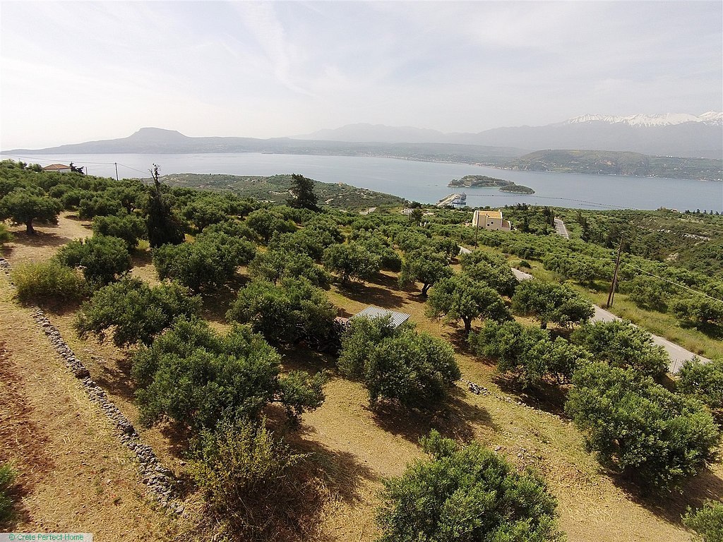 Large sloping olive grove above Souda Bay, ideal for tourism