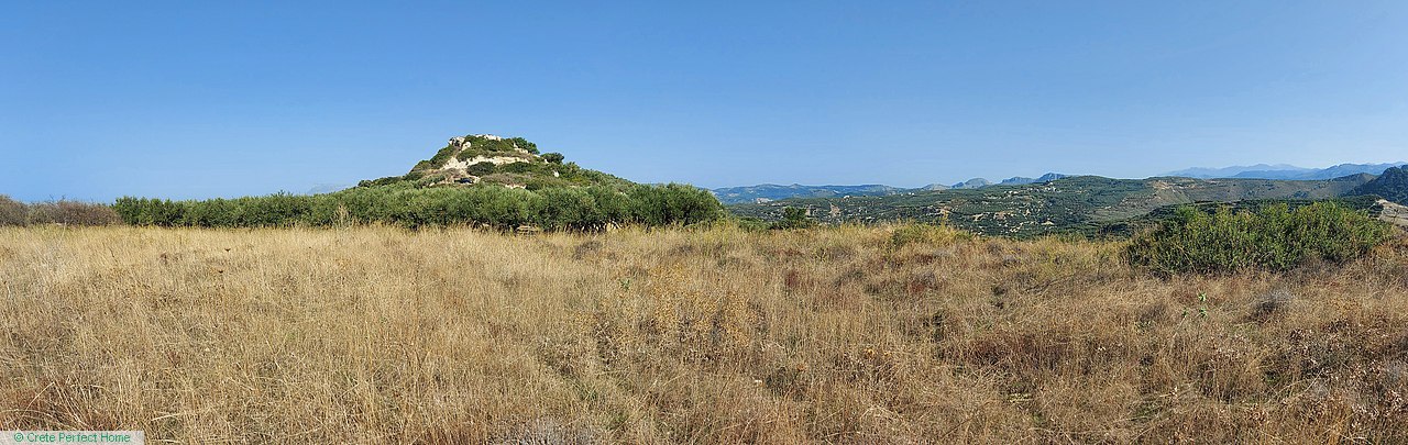 Large elevated plot and olive grove with panoramic and sea views