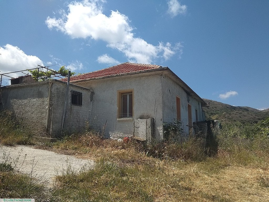 Large olive grove with old house, mountain views, huge build allowance, suitable for tourism