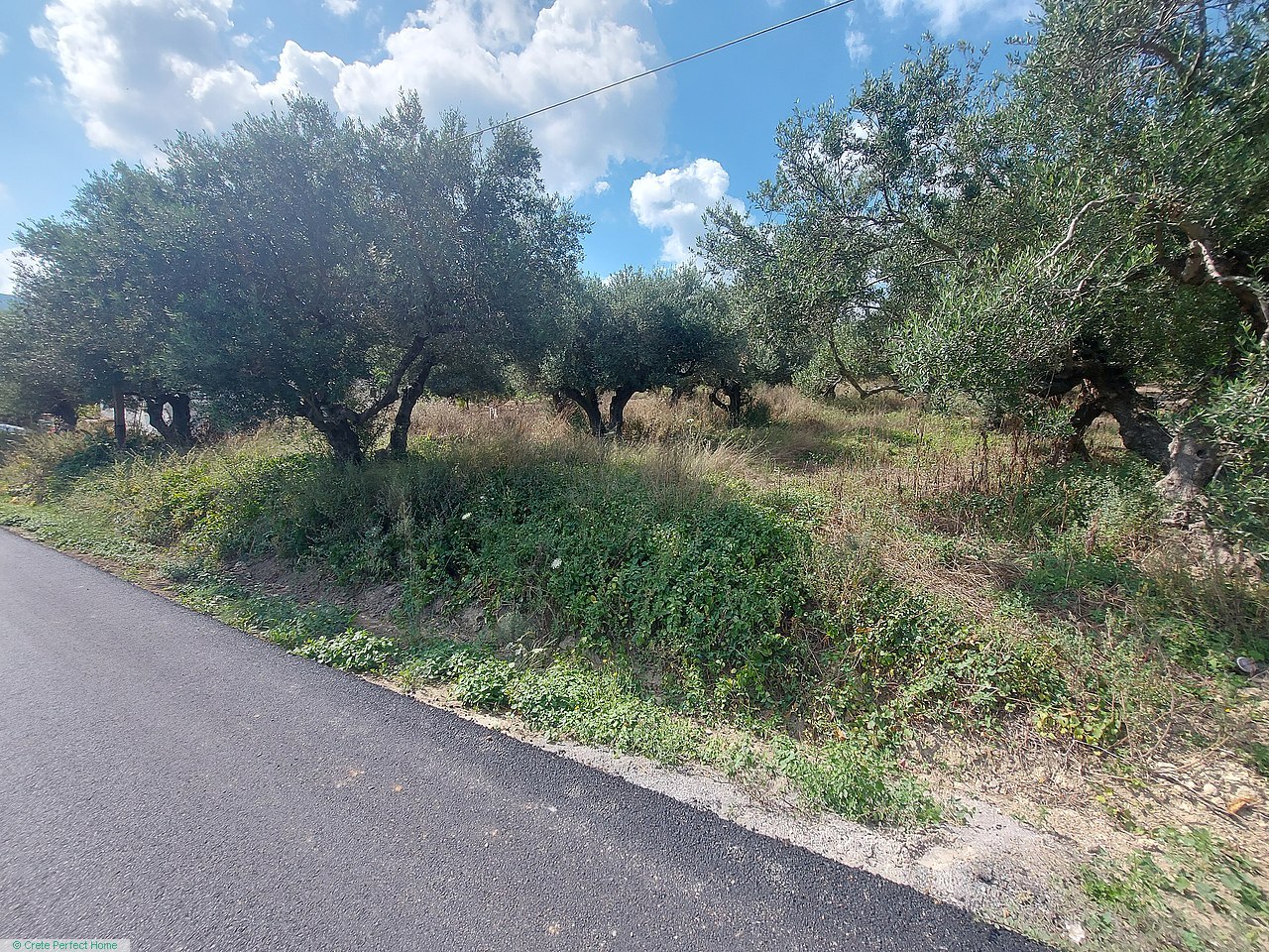 Large olive grove on edge of village, close to beaches, rural views, large build allowance