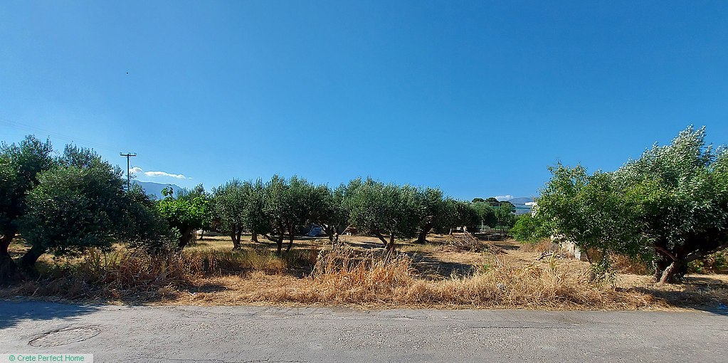 Level olive grove in village, sea view from first floor, close to beaches