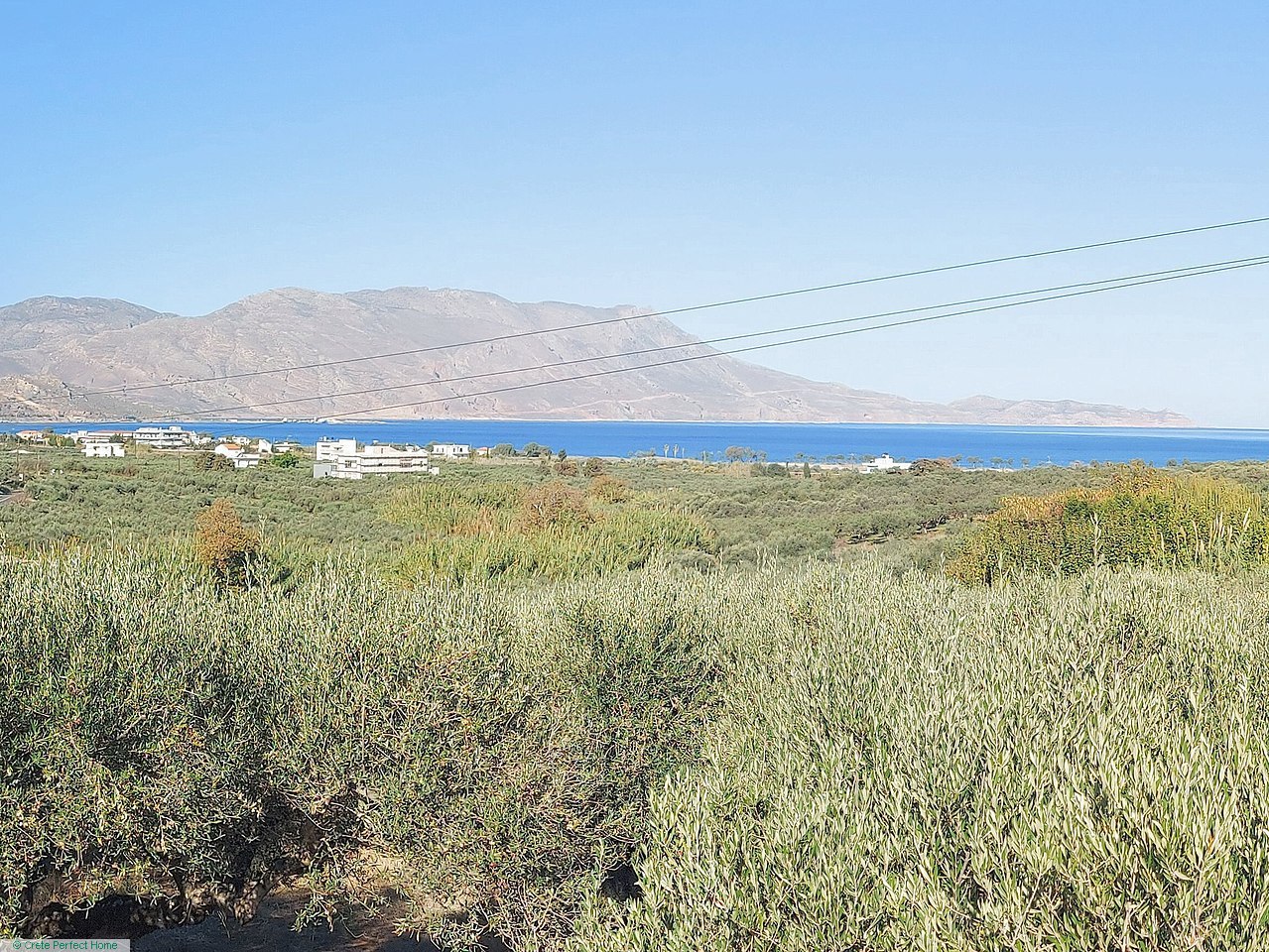 Huge olive grove with lovely sea views, close to beaches