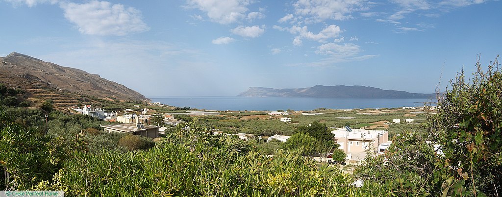 Terraced olive grove near village, sea & mountain views