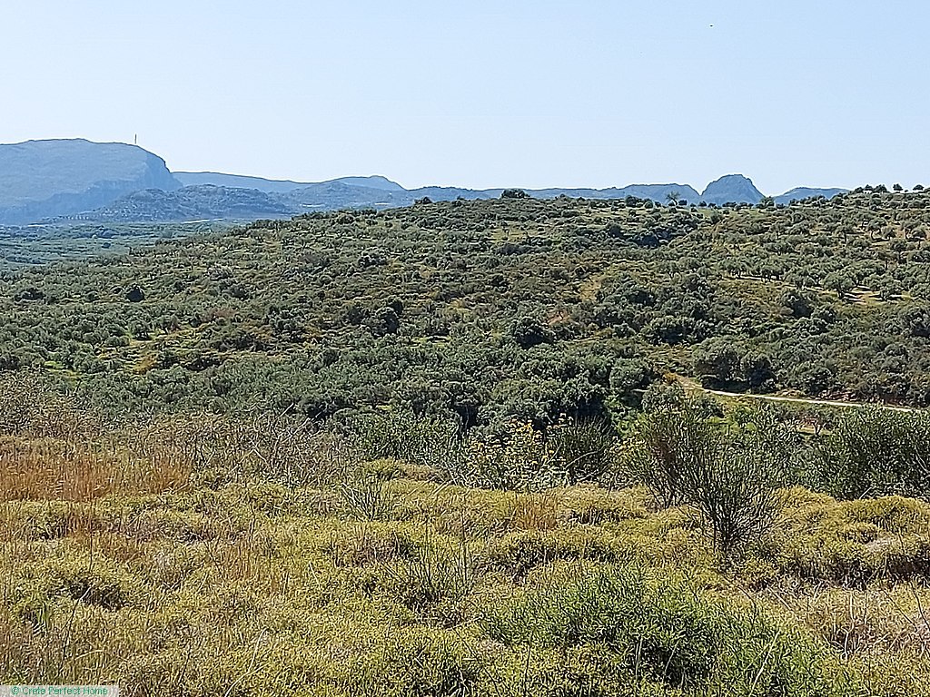 Enormous elevated plot, suitable for hotel or apartment complex
