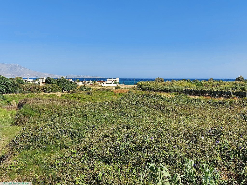 Large level plot near beach, large build allowance, ideal for tourism