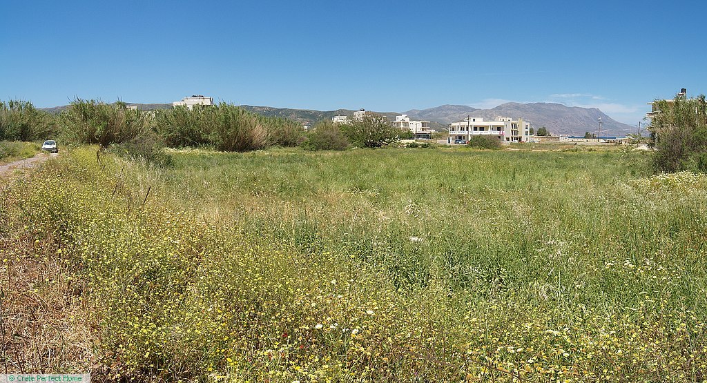 Large level plot 250m from beach, huge build allowance