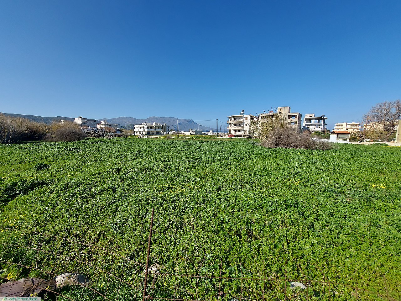 Large level plot 270m from beach, large build allowance