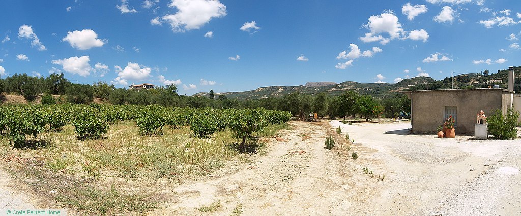 Huge level plot, huge build allowance, includes renovated house