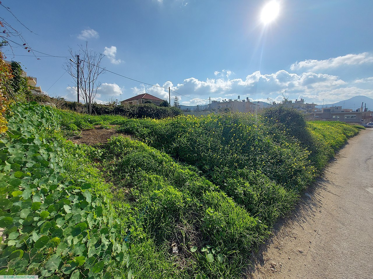 Level plot in town plan, large build allowance, close to future KTEL, commercial opportunity